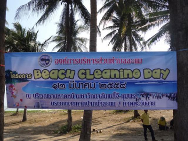 Beach Cleaning Day